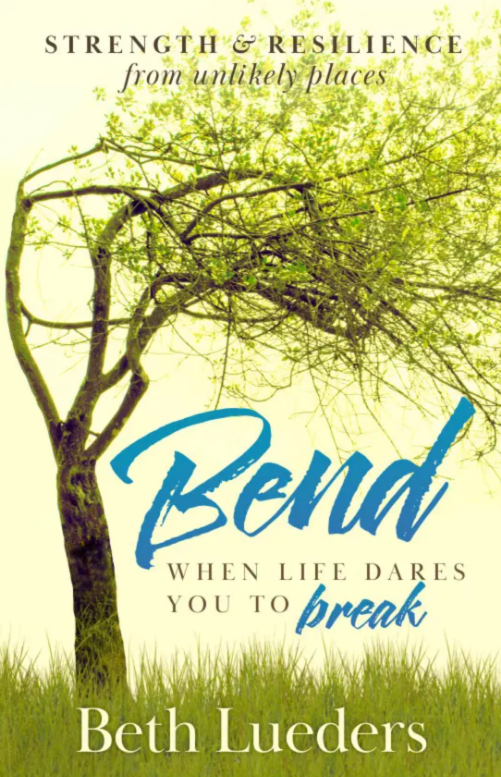 beth lueders bend book